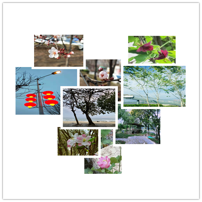 图11.png 图11.png
