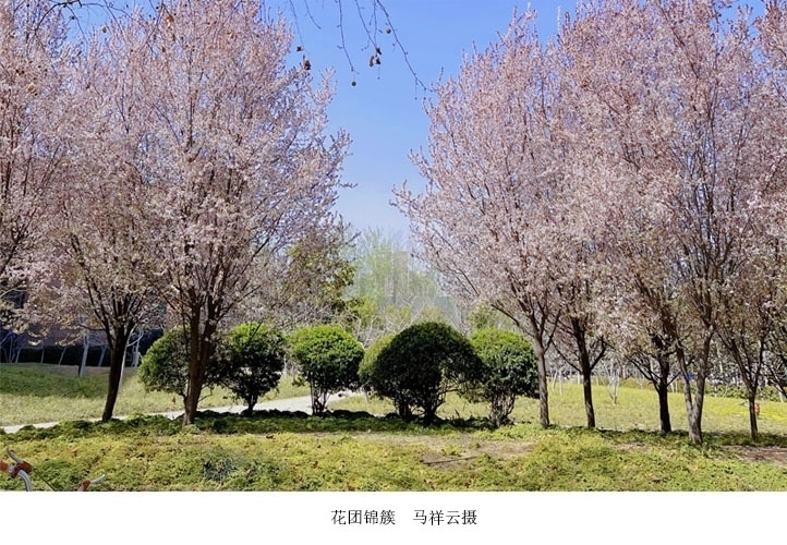 d8d601ae7859d9621cd27042dd55f719_133234970841568672_10.jpg d8d601ae7859d9621cd27042dd55f719_133234970841568672_10.jpg